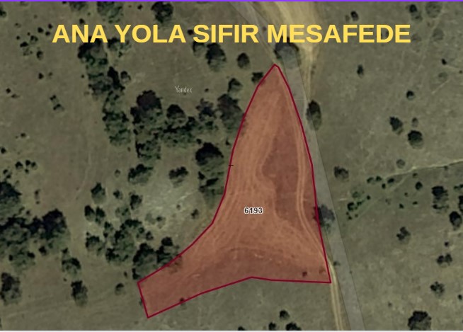 BİLECİK BOZÖYÜK DODURGA 3.400 M² TARLAMIZ SATILIKTIR. - BİLECİK BOZÜYÜK fotoğraf 6